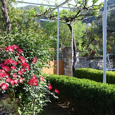 Art Flowers And Culture Mystras Exterior photo