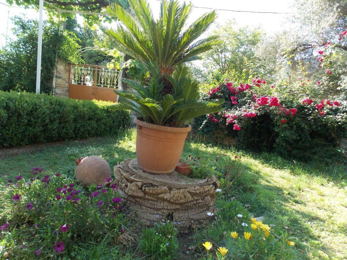 Art Flowers And Culture Mystras Exterior photo