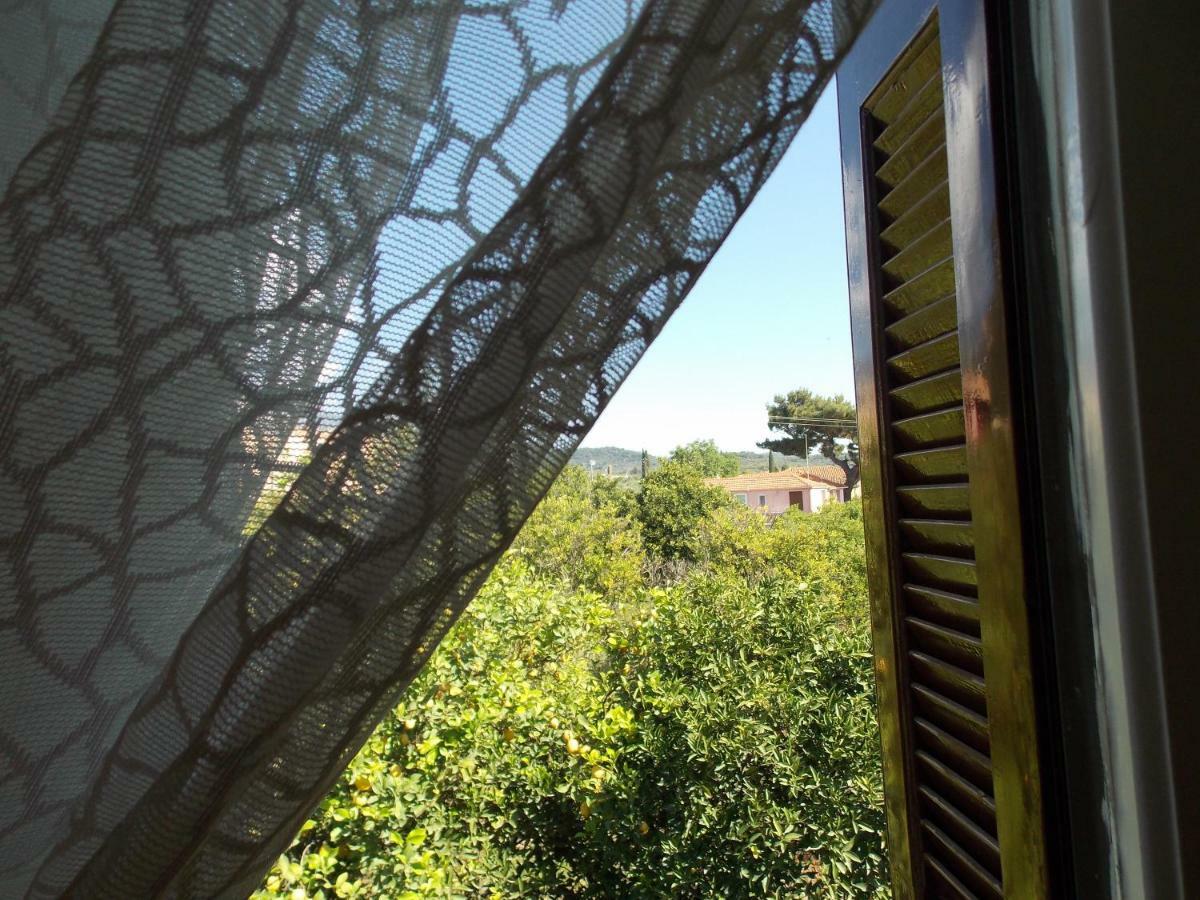 Art Flowers And Culture Mystras Exterior photo