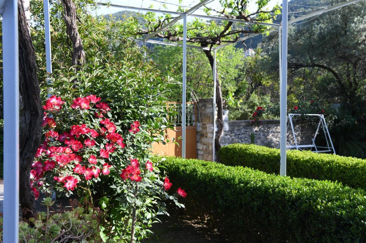 Art Flowers And Culture Mystras Exterior photo